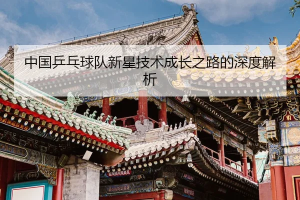 中国乒乓球队新星技术成长之路的深度解析